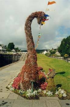 nessie_photo_17.jpg nessie_photo_17.jpg